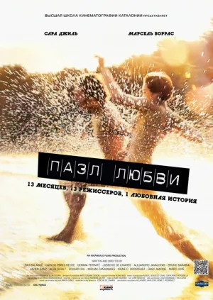 Пазл любви (2010)