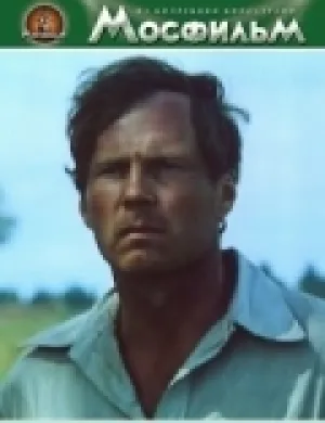 Родник (1981)