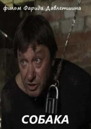 Собака (2011)