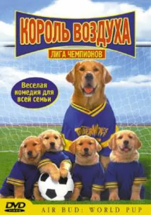 Король воздуха: Лига чемпионов (2001)