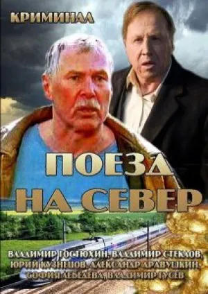 Поезд на север (сериал 2013)