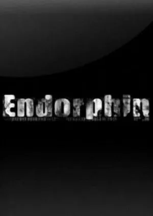 Эндорфин (2011)