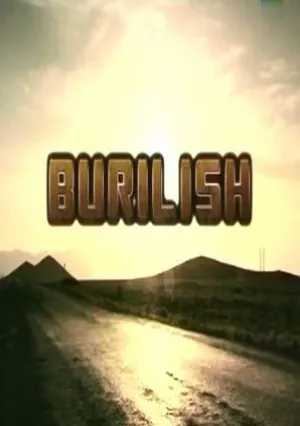 Поворот (2010)