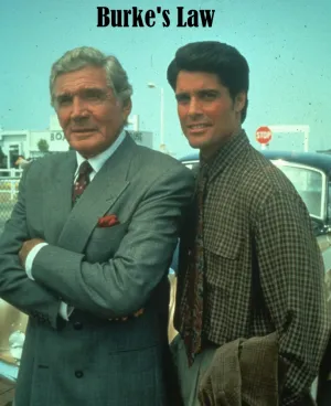 Правосудие Берка (сериал 1994)