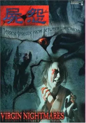 Ведьмы — ниндзя 10 (2004)