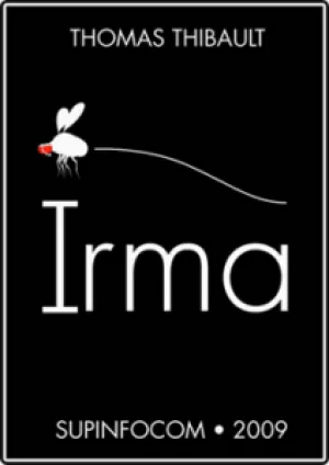Ирма (2009)