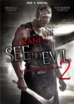 Не вижу зла 2 (2014)