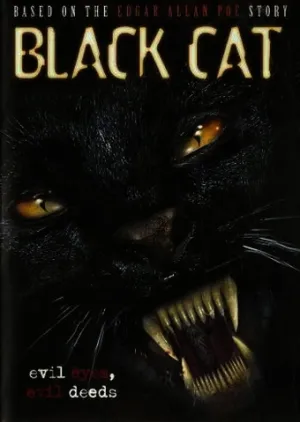 Чёрный кот (2004)