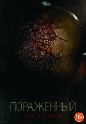 Пораженный (2013)
