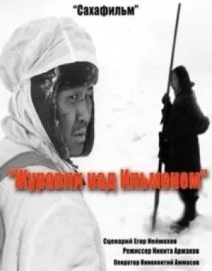 Журавли над Ильменем (2005)
