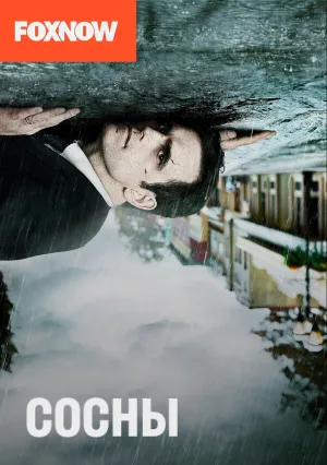Сосны (сериал 2015)