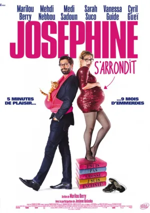 Случайно беременна (2016)