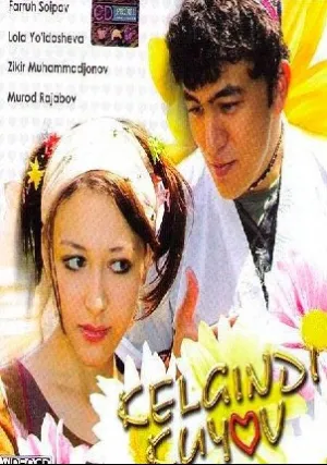 Приезжий жених (2005)
