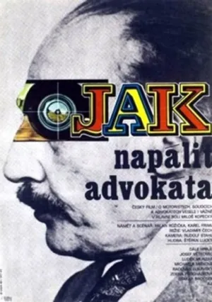 Как надуть адвоката (1980)