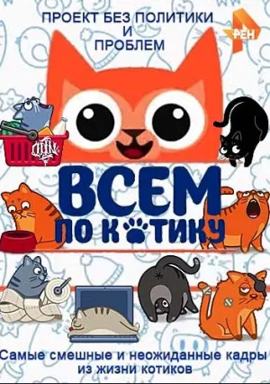 Всем по котику (сериал 2016)