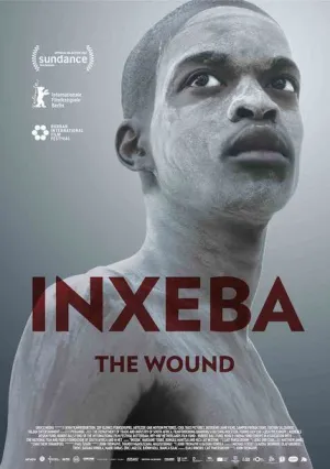 Рана (2017)