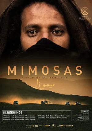 Мимозы (2016)