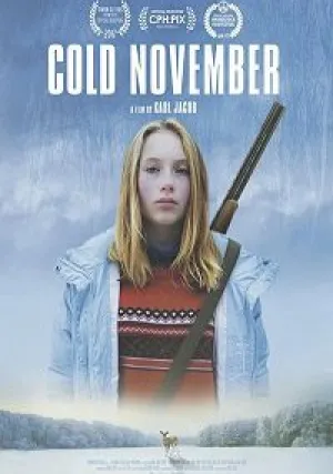 Холодный ноябрь (2017)