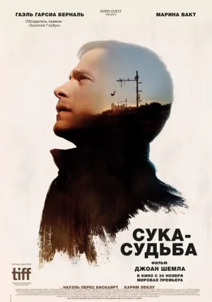 Сука-судьба (2017)
