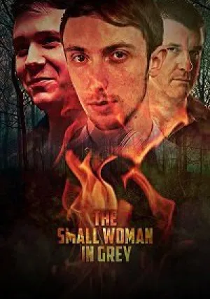 Маленькая женщина в сером (2017)