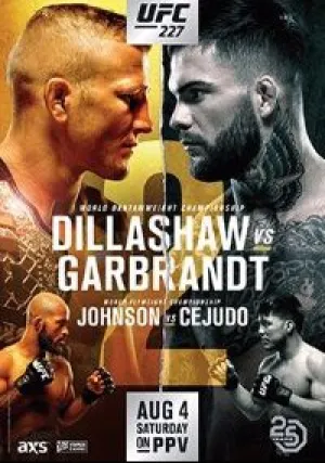 Смешанные единоборства. UFC 227 (2018)
