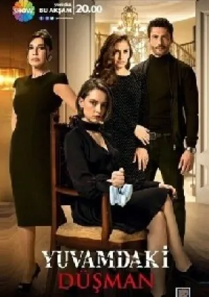 Враг в моём доме (сериал 2018)