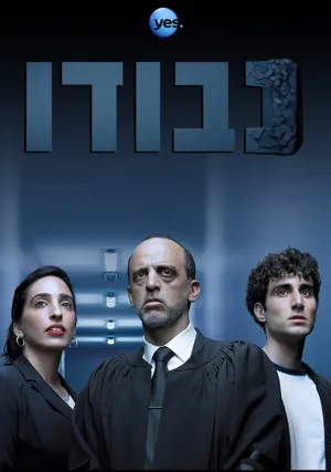 Судья (сериал 2017)