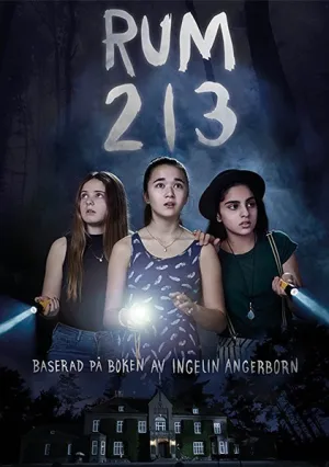 Комната 213 (2017)