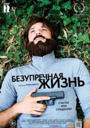Безупречная жизнь (2018)