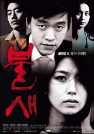 Феникс (сериал 2004)