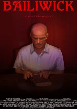 Книга фокусов (2017)