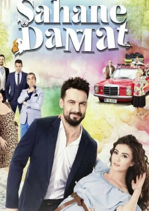 Замечательный зять (сериал 2016)