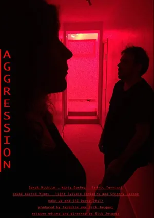 Агрессия (2017)