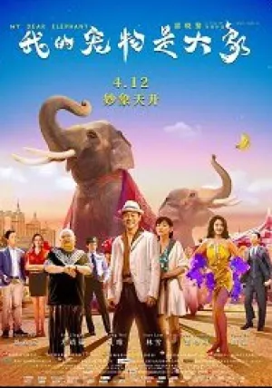 Дорогие мои слоны (2019)