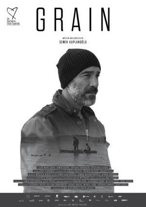 Зерно (2017)