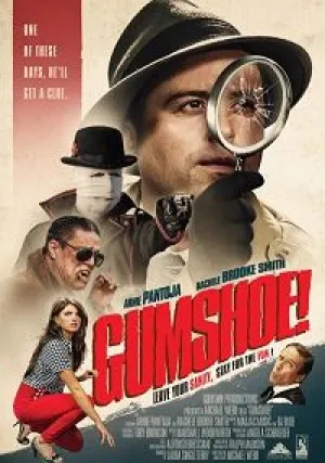 Помогите! Мой частный детектив — идиот! (2016)