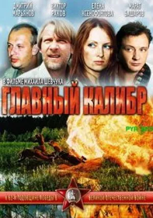 Главный калибр (сериал 2006)