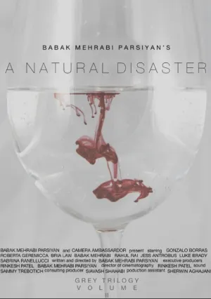 Стихийное бедствие (2016)