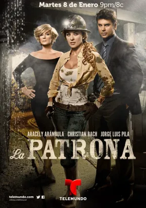 Госпожа (сериал 2013)