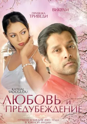 Любовь и предубеждение (2003)