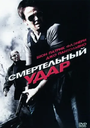 Смертельный удар (2010)