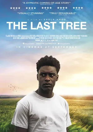 Последнее дерево (2019)