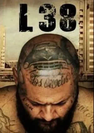 L 38 (2018)