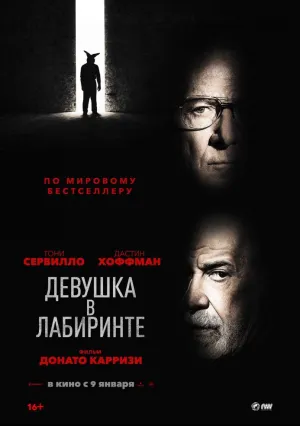 Девушка в лабиринте (2019)
