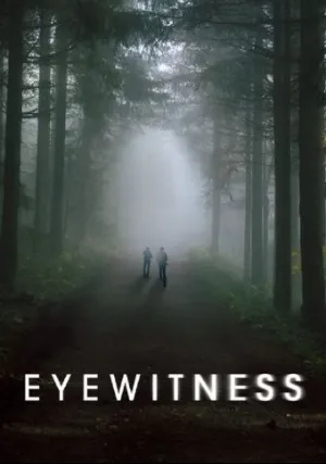 Свидетели (сериал 2016)