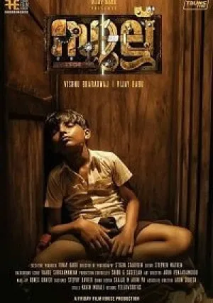 Саллу (2019)