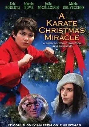 Рождественское чудо в стиле карате (2019)