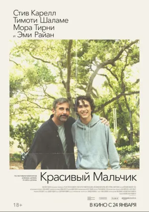 Красивый мальчик (2018)