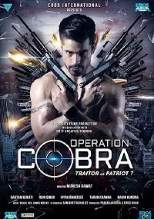Операция «Кобра» (сериал 2019)