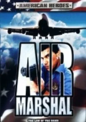 Воздушный патруль (2003)